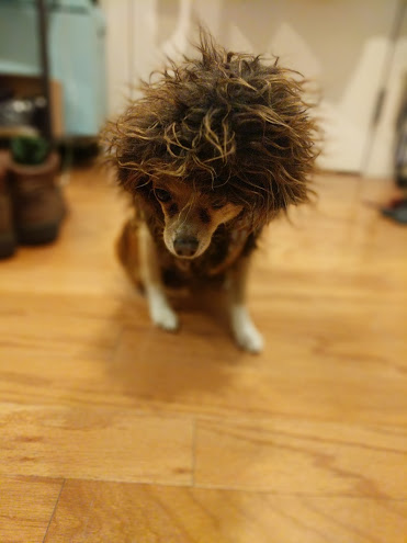 She didn’t like the hood very much.